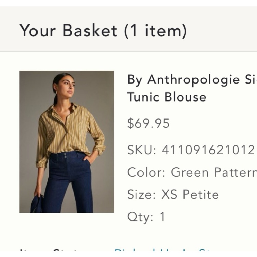 Anthropologie Brown Striped Button-Up Blouse